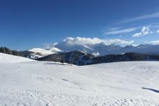 201412_201501_saisies 41